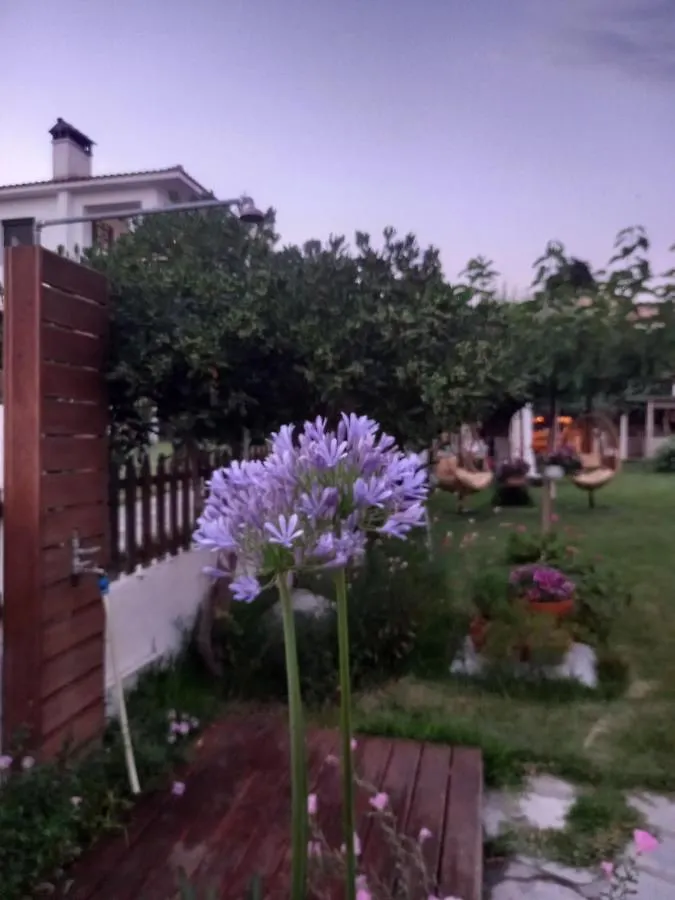 Traditional Arsanas Apartments Nikiti  Nikiti (Sithonia)