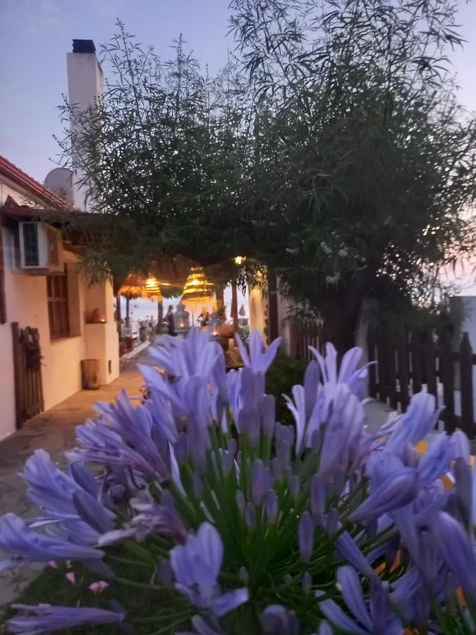 Traditional Arsanas Apartments Nikiti