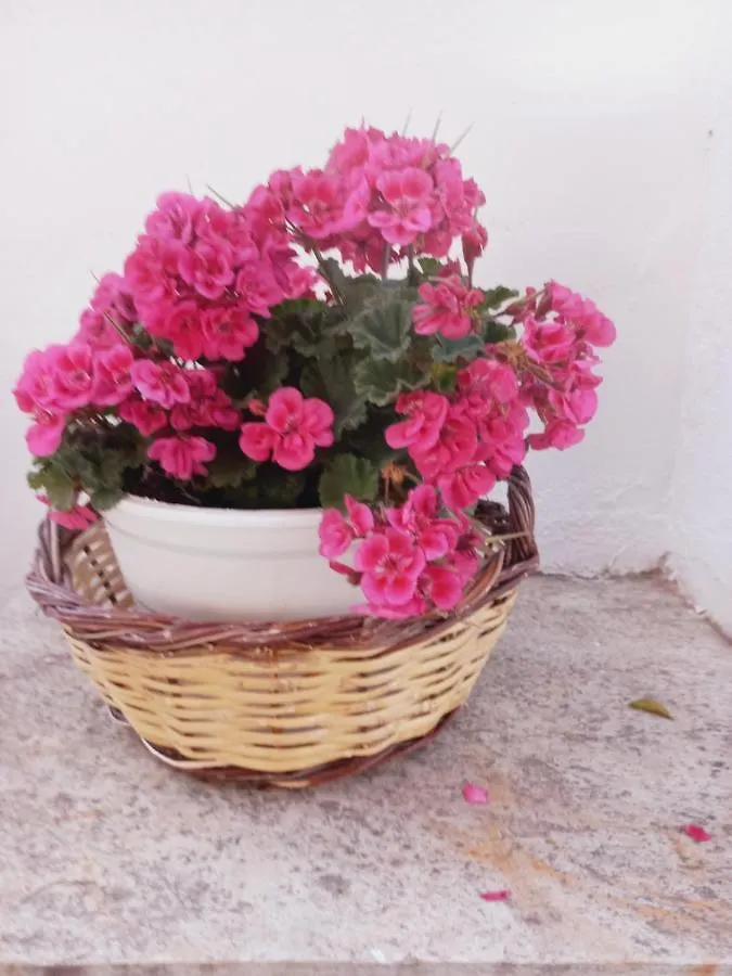 Traditional Arsanas Apartments Nikiti  Greece