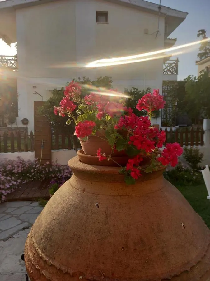 Traditional Arsanas Apartments Nikiti  0*, Nikiti (Sithonia) Greece